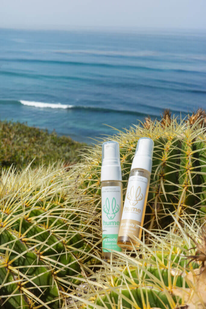 Skincare bottles above the sea