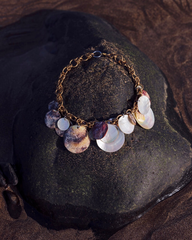 Shell necklace on a rock